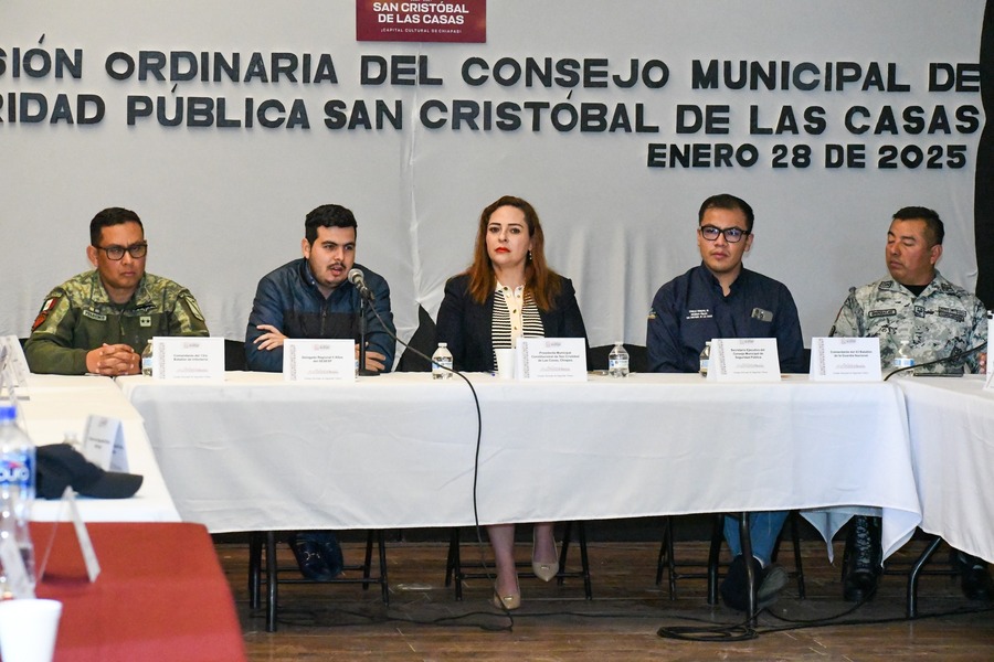 Anuncia Fabiola Ricci la campaña 'Sí al Desarme, Sí a la Paz' – H.  Ayuntamiento de San Cristóbal de Las Casas
